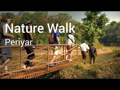 Nature Walk at Periyar