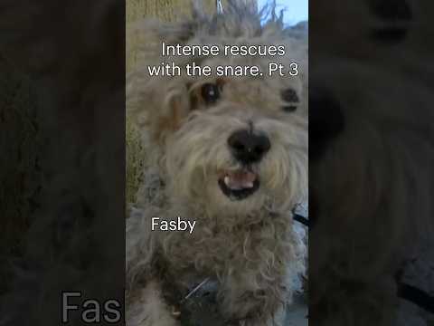 Snappy snare - part 3