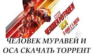 Человек муравей и Оса скачать торрент Человек муравей и Оса скачать торрент