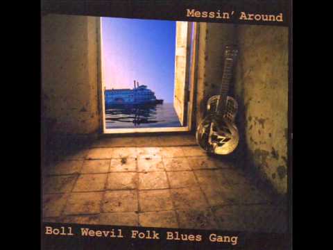 The Boll Weevil Folk Blues Gang - Delia