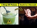 Poisons That Can Kill Human In 2 Seconds | Haider Tv