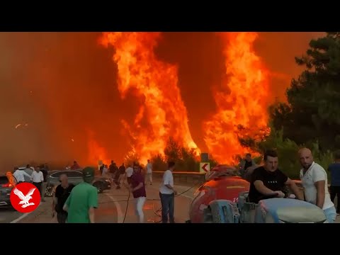 Raging wildfires engulf popular Turkey holiday destination as locals battle flames