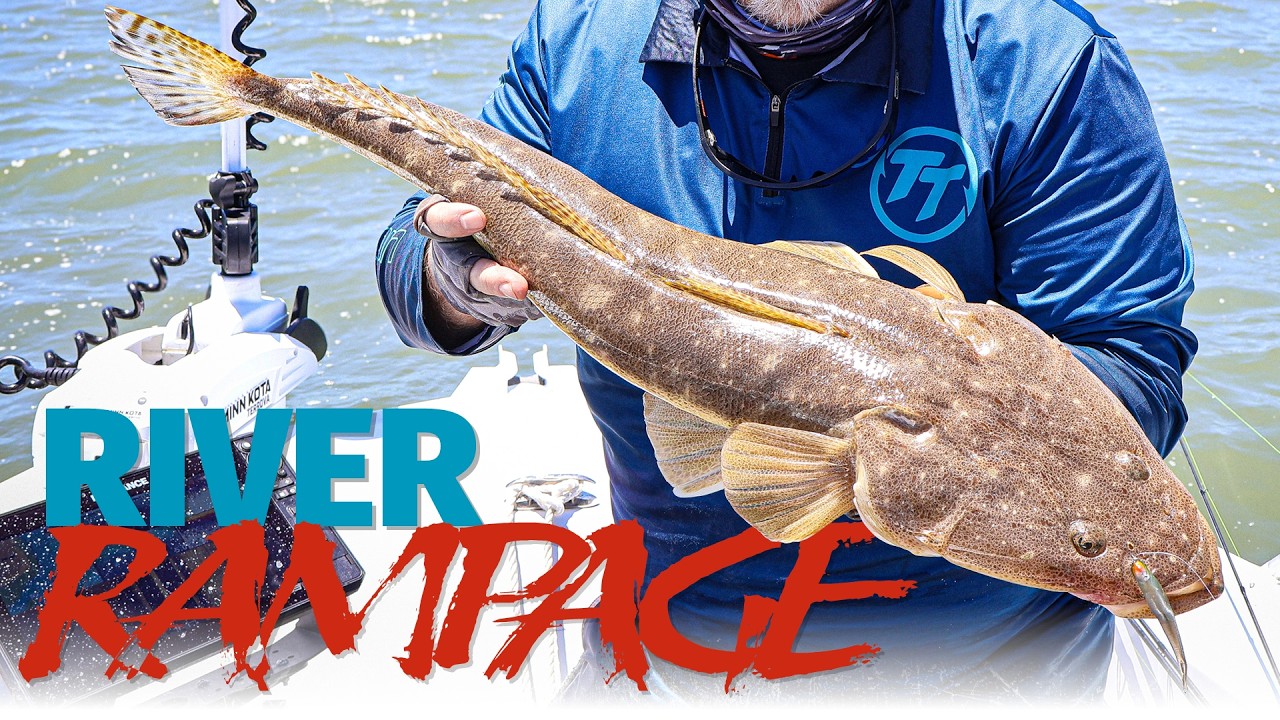 Brisbane River Soft Plastics Fishing - 7 Species Session - How to Catch Bream, Flathead, Trevally...