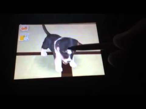 Como obter o seu Nintendog implorar