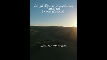تلاوة جميلة من سورة الأنبياء❣