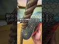 SASUKEトレで綱登りの練習のやりすぎで右のシューズだけ穴できた!!笑