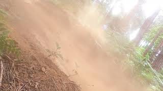 Snake Run Crash