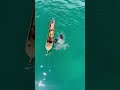 Badjao kids diving for coins in bongao.. | tawi-tawi