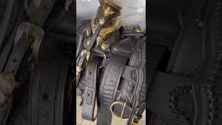 montura de cocodrilo color negro 4776027778