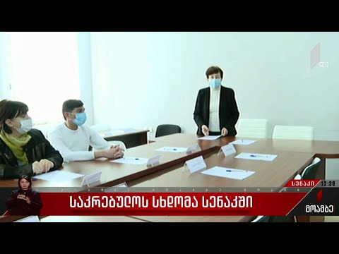 საკრებულოს სხდომა სენაკში