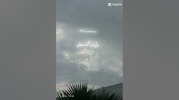 سورة إبراهيم آية(٢٢)#قرآن #اجر_لي_ولك #ارح_قلبك #نصنع_المستقبل