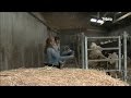 Ref:ttz8hwpOWOs Enseignement agricole : rentr�e des classes � lop�rec