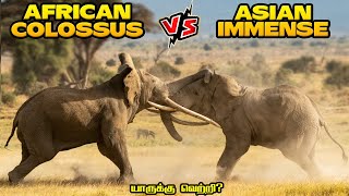 Asian Elephant vs African Elephant in Tamil | ஆசிய யானை vs ஆப்ரிக்க யானை #savagepoint #fantasybattle African Elephant Vs Asian Elephant