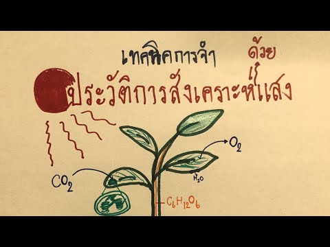เทคนิคการจำและทำความเข้าใจประวัติการค้นพบการสังเคราะห์ด้วยแสง