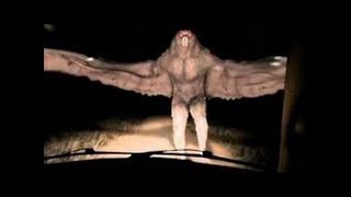 10 Misteriose E Mai Viste Creature Catturate In Videocamera 2018 Mostri Terrificanti Alieni Ripresi