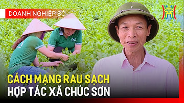 Hợp tác xã rau sạch Chúc Sơn: Viết lại câu chuyện về rau an toàn | Doanh nghiệp số