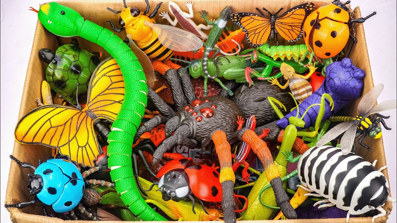🦎toy asmr🦎 30 Mins ZURU Robo Alive Compilation ASMR | Snake, Butterfly, Bee, Ladybug, Spider