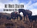 Mt White Station Autumn Muster 2015