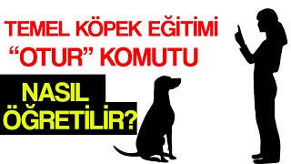 Temel Köpek Eğitimi 