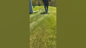 Echo trimmer #foryou #shortsvideo #subscribe #satisfying #shortsfeed #watch #shorts #short #foryou