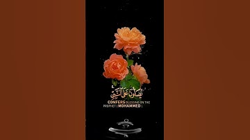 صباح الخير🧡حالات واتساب مقاطع قصيره قران كريم ان الله وملائكته يصلون على النبي احمدالنفيس🧡بدون حقوق