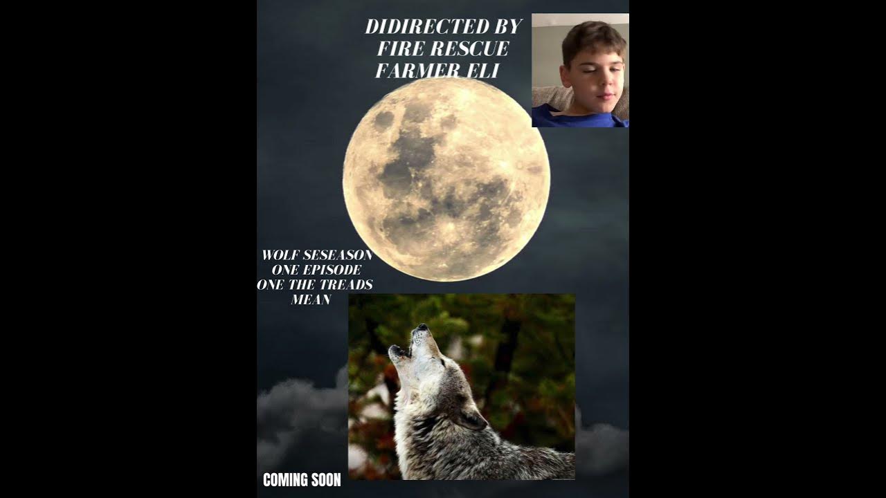 They are going to be three seasons to the Wolf movie - YouTube