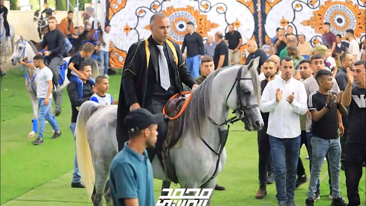 10 خيول لاستقبال العريس عوض زكارنة مع شاعر مرج بن عامر الفنان محمد العراني قباطية 2023