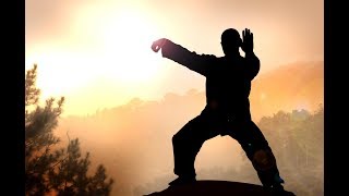 Ицзиньцзин базовый комплекс цигун Ицзиньцзин базовый комплекс цигун