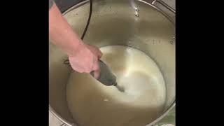 High temp hot process Wisteria Soap