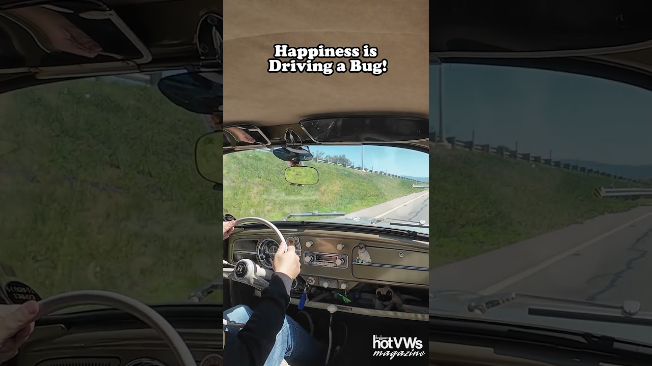 Happiness is Driving a Bug!