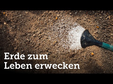 Video: Gärtnern unter der Erde – Wie man einen versunkenen Garten baut