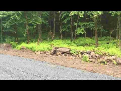 6 Birch Crest Dr, Grafton, NY home video tour