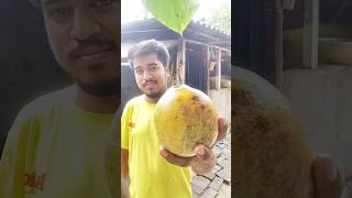 beler 🍈sorbot 🥤 recipe 😋#foryou#youtubeshorts#shortsfeed