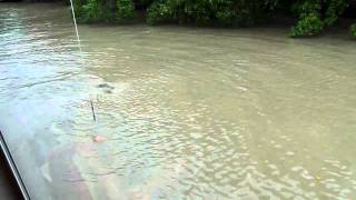 Jumping Crocodile - Adelaide River