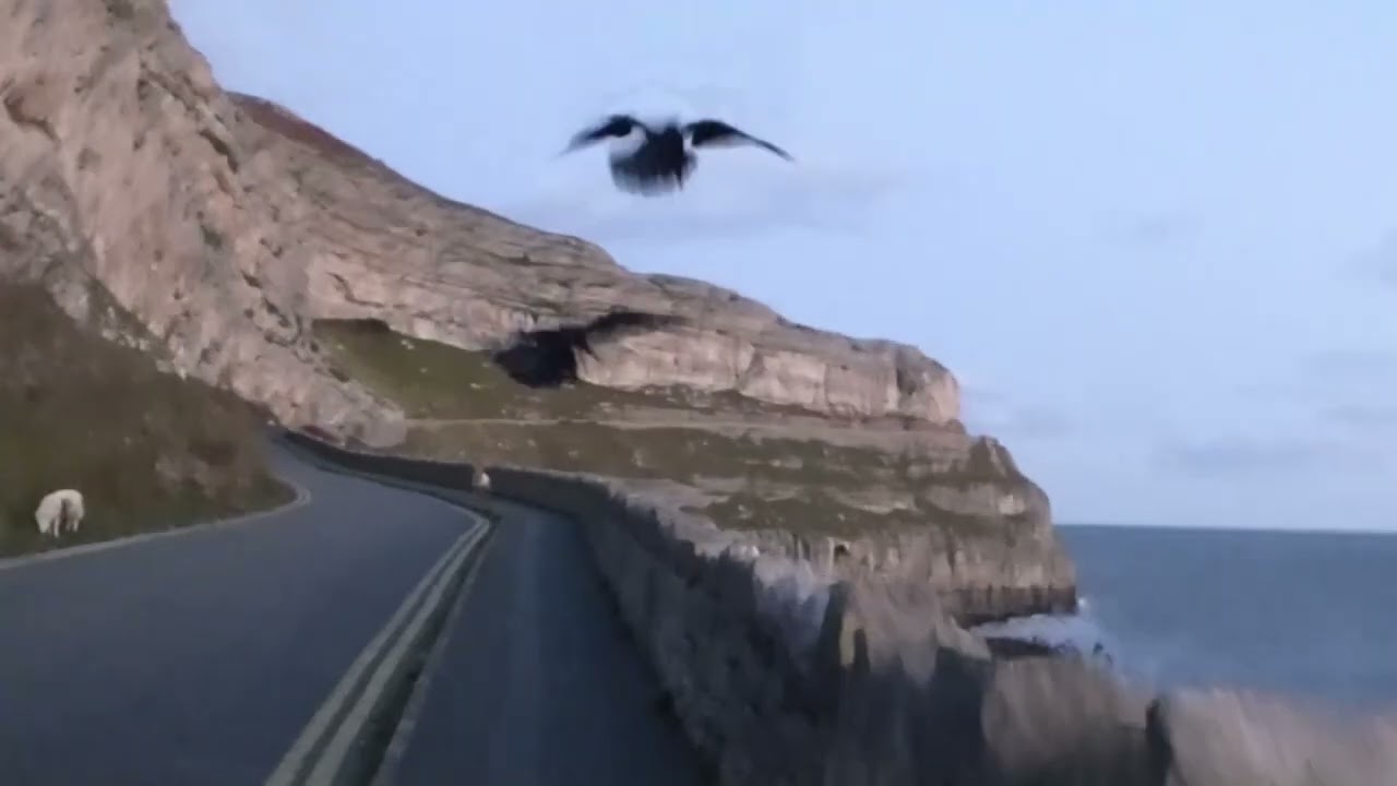 Arthur & Morrigan - 25th November 2025