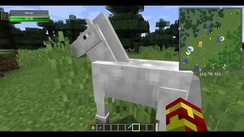 Minimap and Damage Indicator Mod by Iron Forge