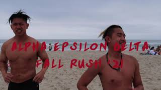 UCI AED FALL RUSH '21