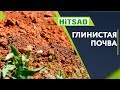 Глинистая Почва Что делать? 🌱 Улучшить Почву 🌱 Советы садоводам от Хитсад ТВ