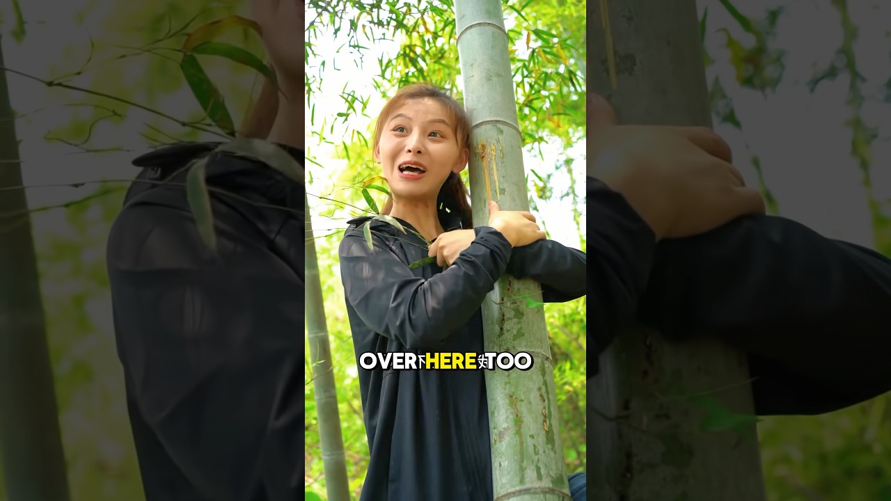 The bugs hidden inside bamboo are top-tier delicacies!