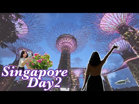[Singapore trip vlog] 3박5일 싱가포르 여행 / 쉴 틈 없이 다니는 노쇼핑 노옵션 패키지 투어