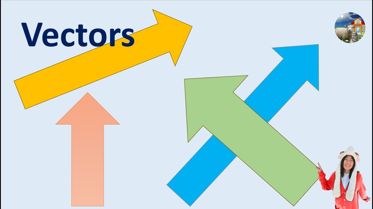 Learn Vectors in Minutes With Fun Examples! - YouTube