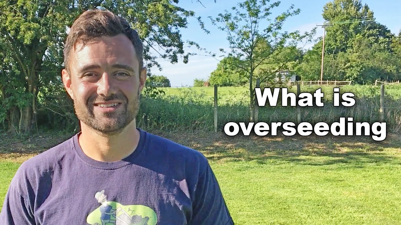 What is overseeding YouTube