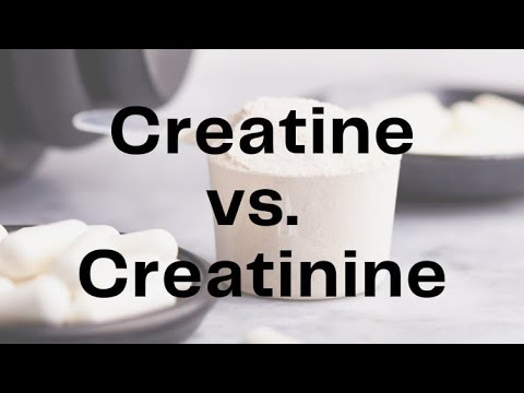 l carnitine and creatinine L-Carnitine 5000 EC Sports Supplements and endurance l-Carnitine Supplementation in Recovery after