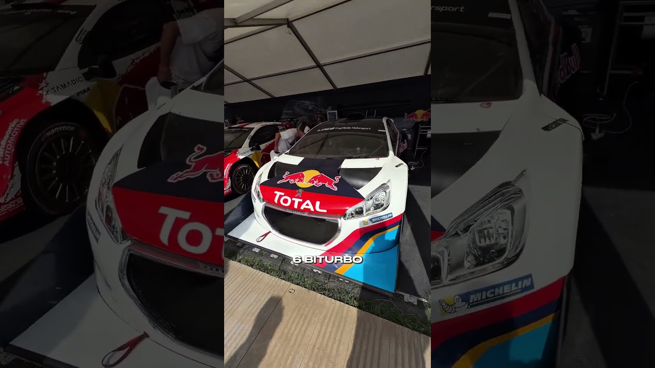 Cuando Peugeot hacía cosas maravillosas #peugeotsport