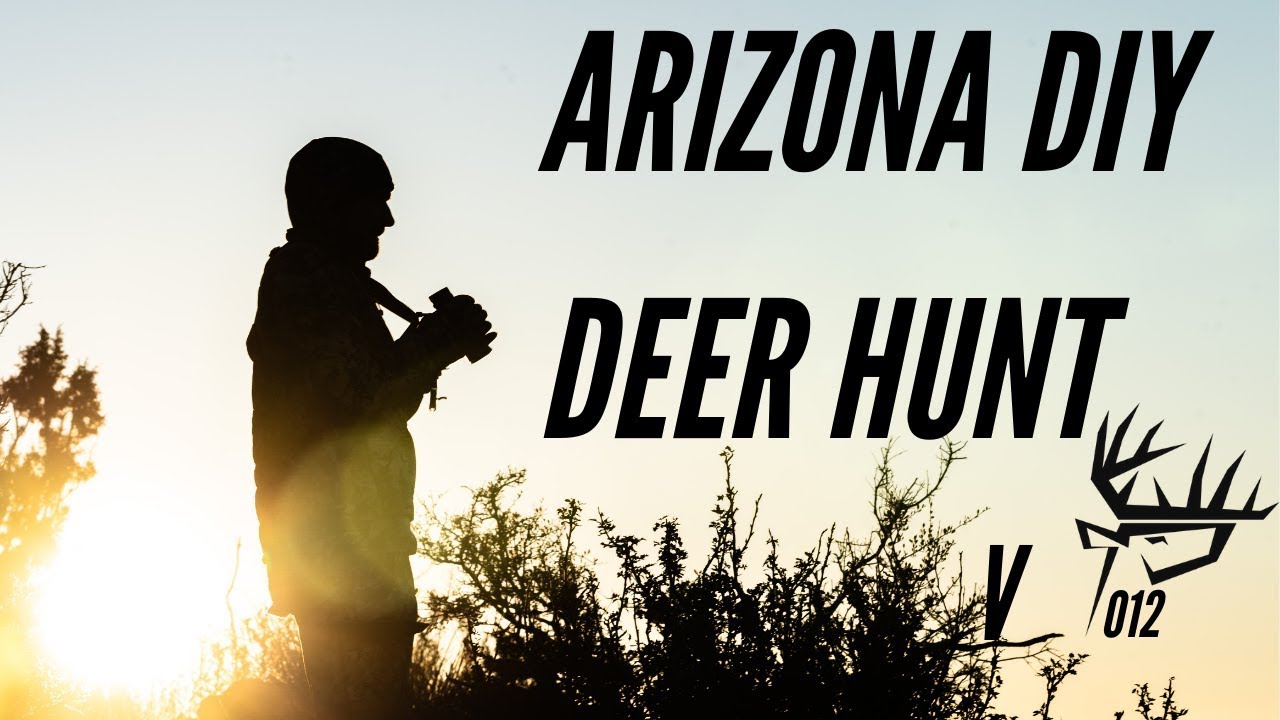 ARIZONA DIY DEER HUNT - YouTube
