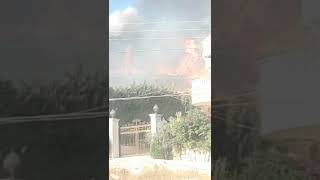 Lebanon Kumelipuka Mbaya Sana Watu Watona Wamechomeka