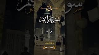 #duet#quranictranslation #tarjumaequran #surah ibrahim