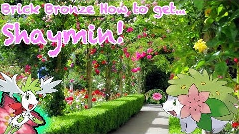 Roblox Pokemon Brick Bronze - How to get Shaymin!