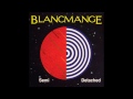 Blancmange - Semi Detached