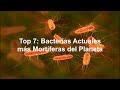 Top 7: Bacterias Actuales mas Mortíferas del Planeta